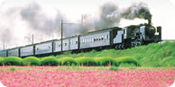 茶畑と蒸気機関車